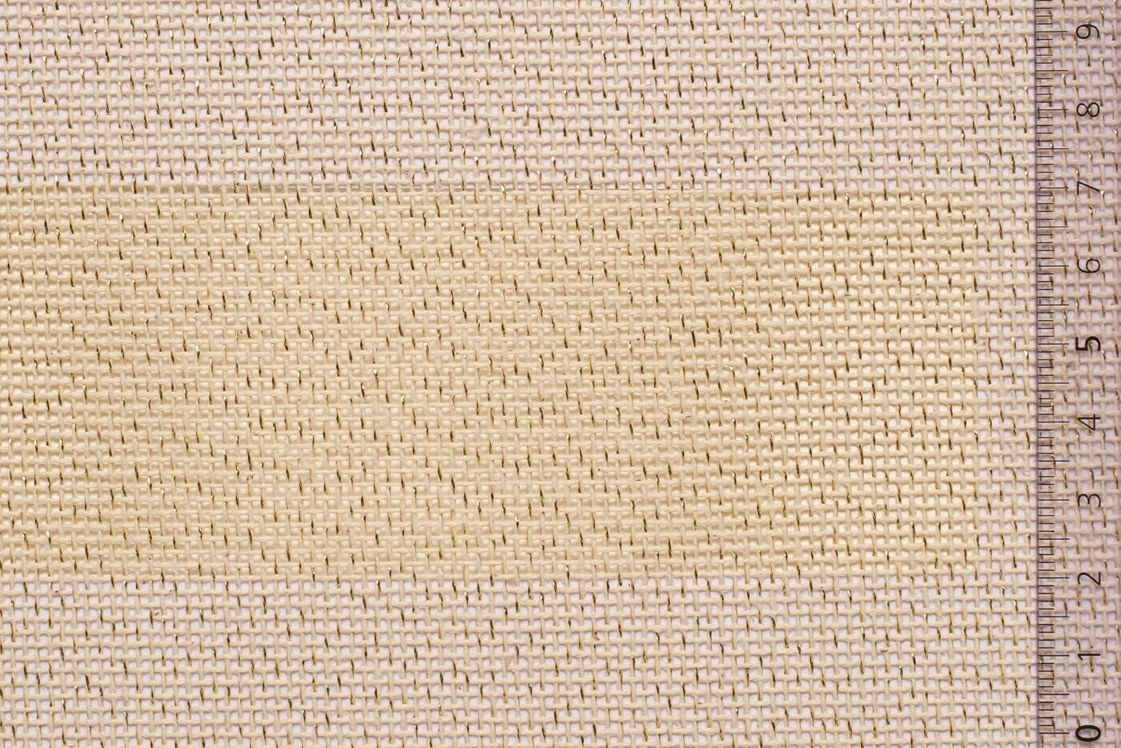 02MNVSCH62ECRGOLxxxCOT[MONOCANVAS 62 SCHOOL](GOLD ECRU)F